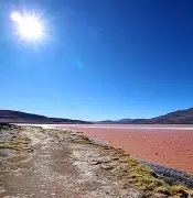 杏彩体育在线-玻利维亚男子游泳选手镇守一方，斩获金牌