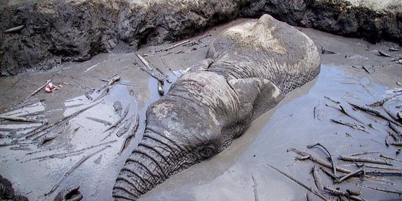 杏彩体育地址-包含西西里降级危机，踢出泥潭难脱身的词条