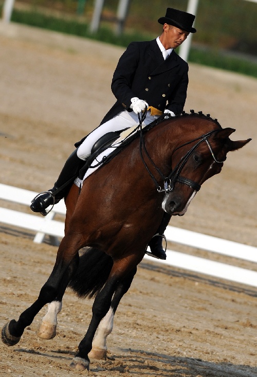 高雅绅士!运动员们在赛场上的飒爽英姿 高雅绅士!运动员们在赛场上的飒爽英姿