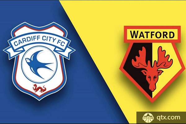 卡迪夫城绝杀南安普顿，保住保级希望